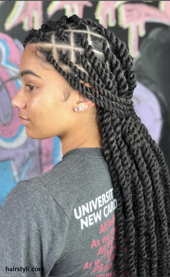 Peinados con trenzas negras